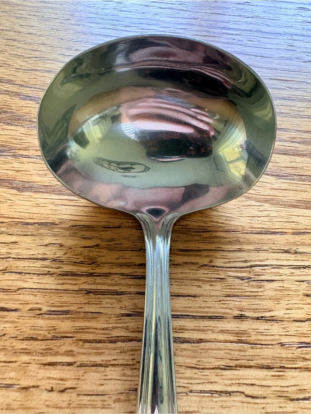 Reed & Barton Stainless Steel Serving Ladle